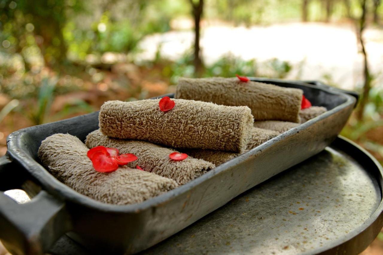 Tambuti Lodge Pilanesberg Ngoại thất bức ảnh