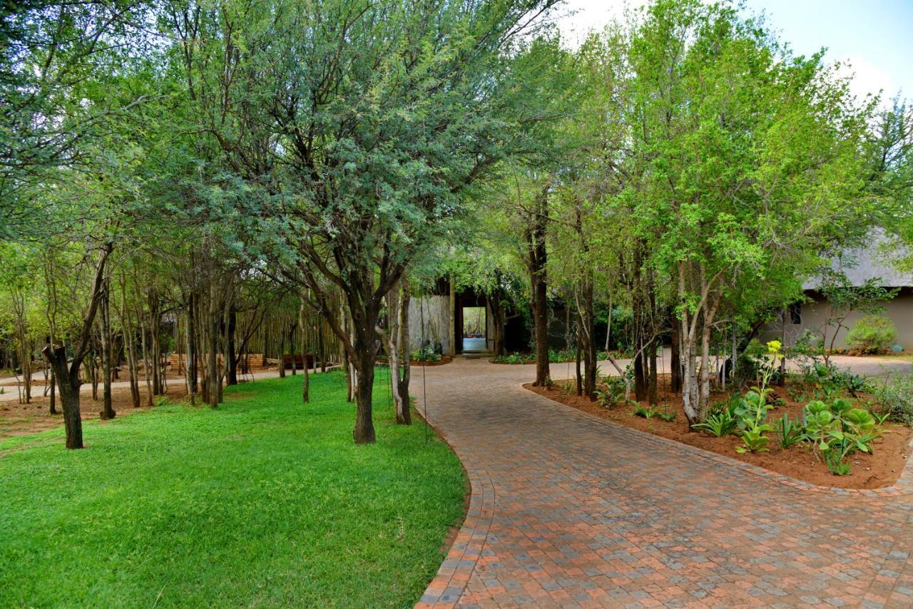 Tambuti Lodge Pilanesberg Ngoại thất bức ảnh