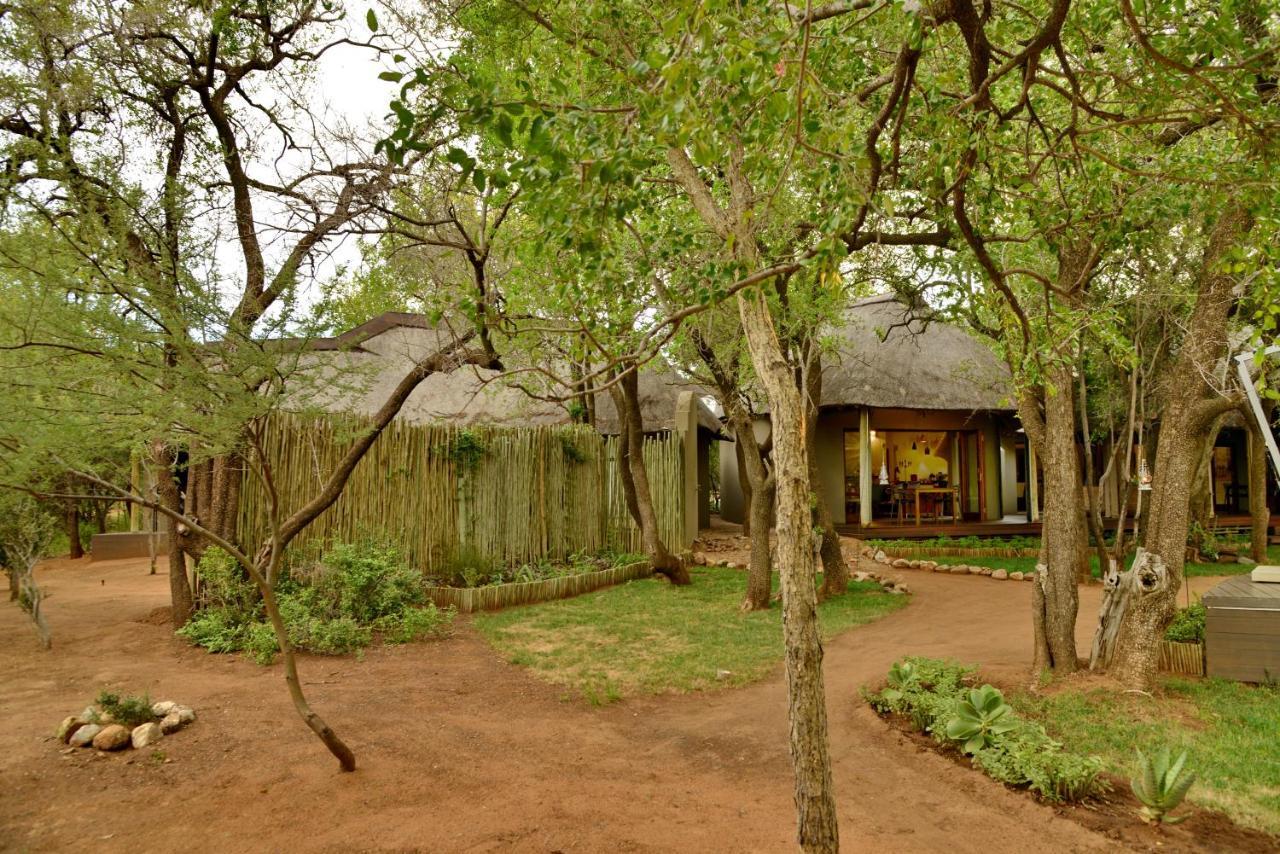 Tambuti Lodge Pilanesberg Ngoại thất bức ảnh